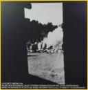 Burning Bodies